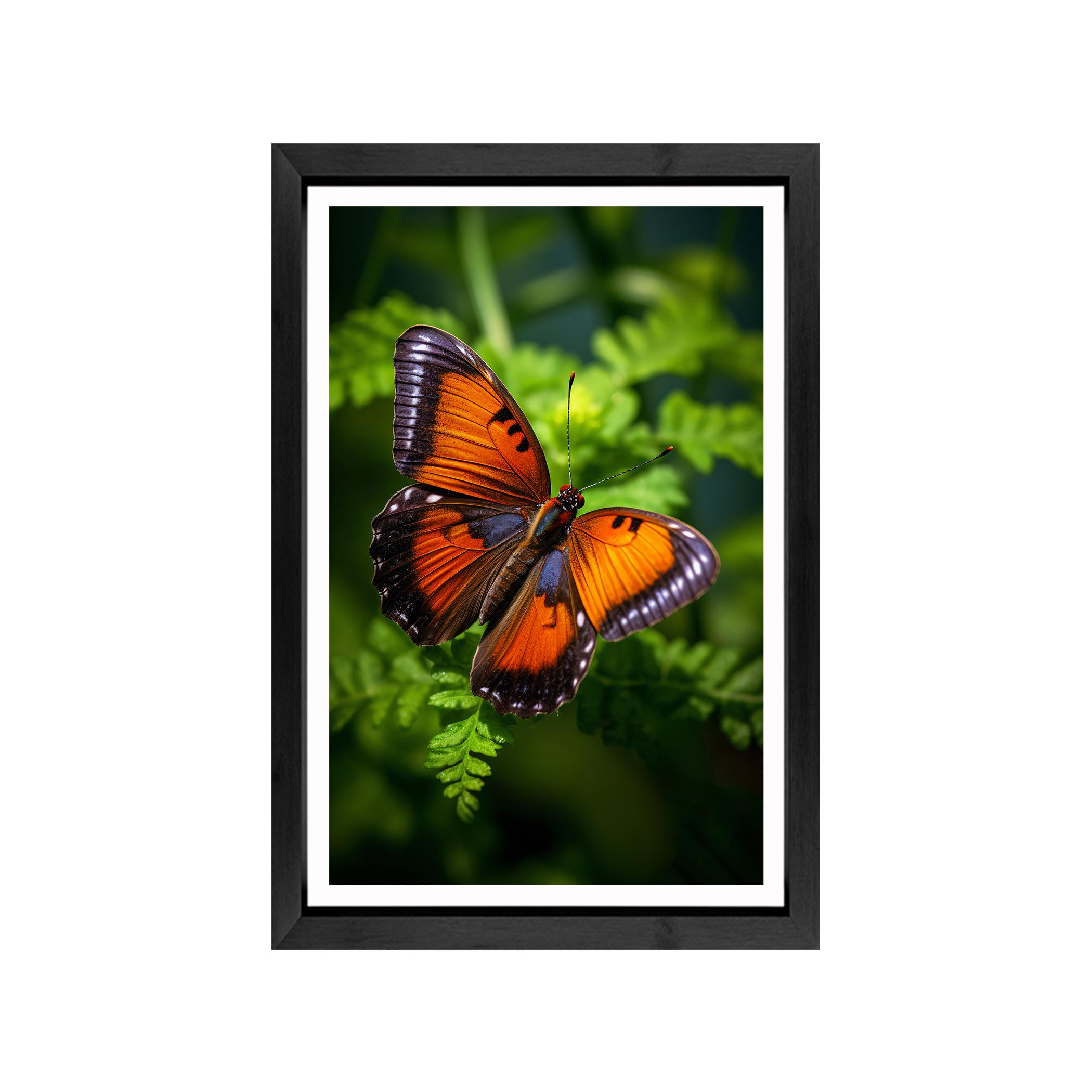 Orange Butterfly Canvas Wall Art